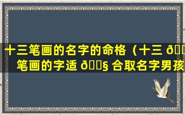 十三笔画的名字的命格（十三 🐒 笔画的字适 🐧 合取名字男孩）